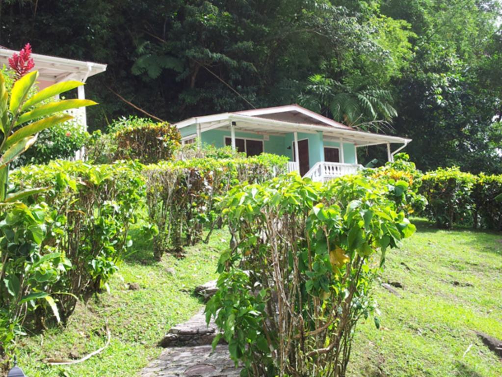 Chez Ophelia Cottage Apartments Roseau Kamer foto