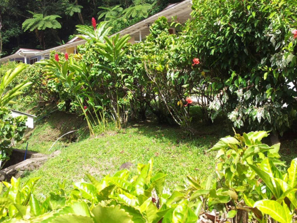 Chez Ophelia Cottage Apartments Roseau Kamer foto